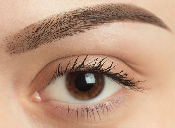 How many Hair grafts are needed for Eyebrows